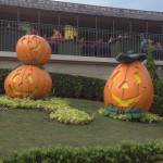 Disney Halloween Magic Kingdom