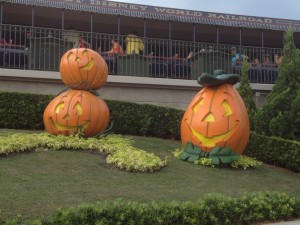 Disney Halloween Magic Kingdom