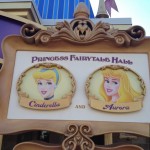 Disney Princess Fairytale Hall