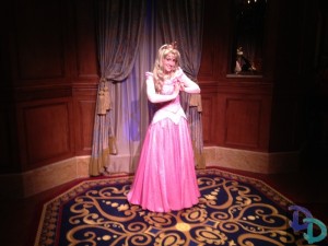 Disney Princess Fairytale Hall