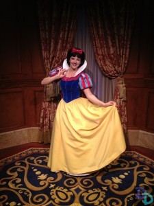 Disney Princess Fairytale Hall