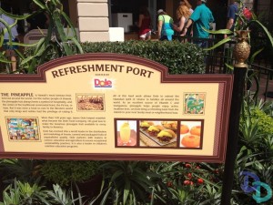Epcot Food and Wine