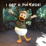 Disney Pin Codes
