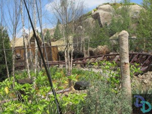 Seven Dwarfs Mine Train