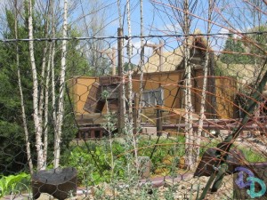 Seven Dwarfs Mine Train