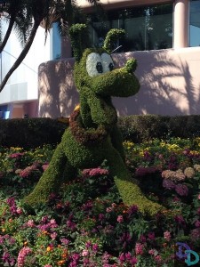 Epcot Flower and Garden 2014