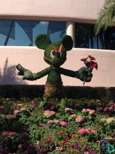 Epcot Flower and Garden 2014