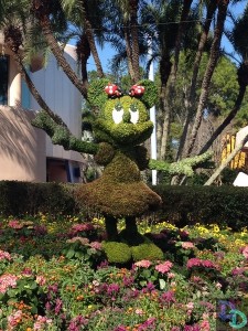 Epcot Flower and Garden 2014