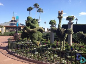 Epcot Flower and Garden 2014