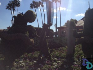 Epcot Flower and Garden 2014