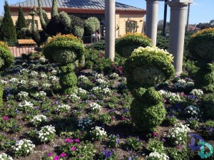 Epcot Flower and Garden 2014