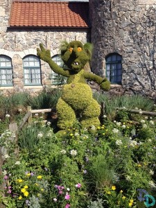 Epcot Flower and Garden 2014