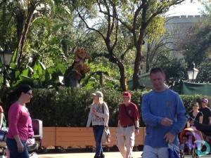 Epcot Flower and Garden 2014