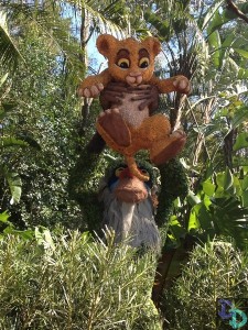 Epcot Flower and Garden 2014