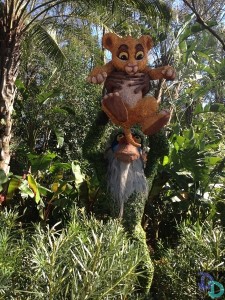 Epcot Flower and Garden 2014