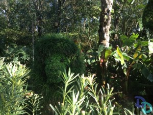 Epcot Flower and Garden 2014