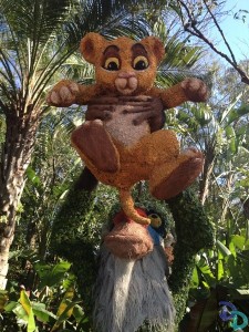 Epcot Flower and Garden 2014