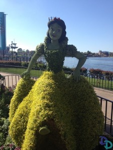 Epcot Flower and Garden 2014