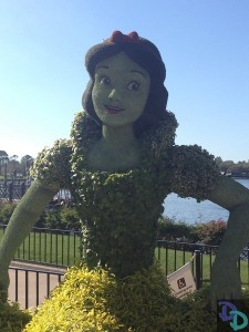 Epcot Flower and Garden 2014