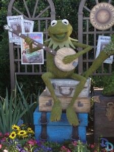 Epcot Flower and Garden 2014