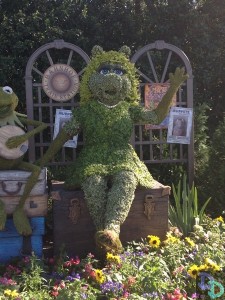 Epcot Flower and Garden 2014