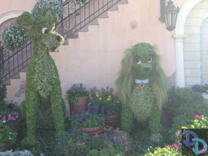Epcot Flower and Garden 2014