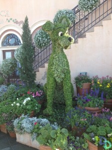 Epcot Flower and Garden 2014