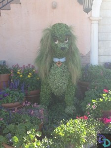 Epcot Flower and Garden 2014