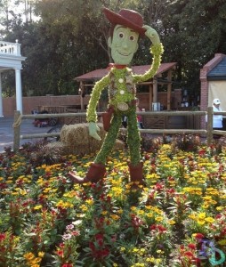 Epcot Flower and Garden 2014