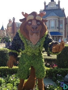 Epcot Flower and Garden 2014