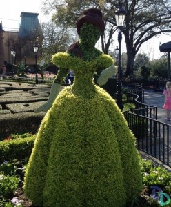 Epcot Flower and Garden 2014