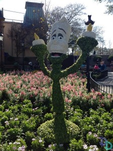 Epcot Flower and Garden 2014