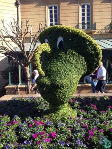 Epcot Flower and Garden 2014