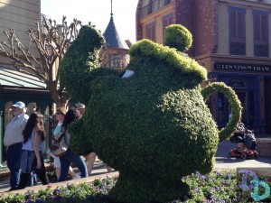Epcot Flower and Garden 2014