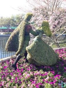 Epcot Flower and Garden 2014