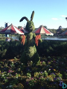 Epcot Flower and Garden 2014