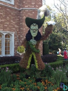 Epcot Flower and Garden 2014