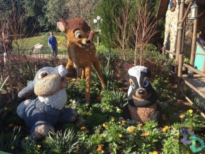 Epcot Flower and Garden 2014