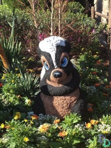 Epcot Flower and Garden 2014