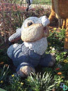 Epcot Flower and Garden 2014