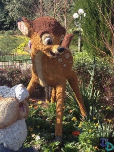 Epcot Flower and Garden 2014
