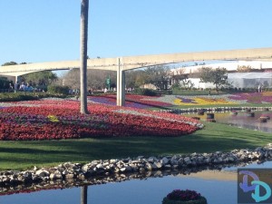 Epcot Flower and Garden 2014