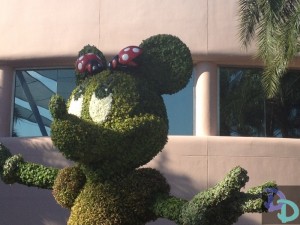 Epcot Flower and Garden 2014