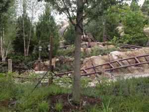 Seven Dwarfs Mine Train