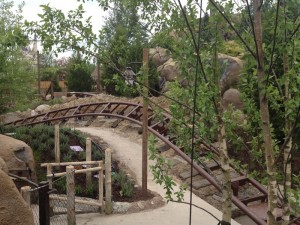 Seven Dwarfs Mine Train