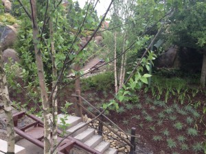 Seven Dwarfs Mine Train