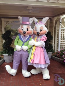Mr and Mrs Bunny