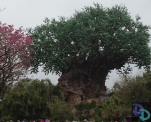Pooh and Tigger DAK
