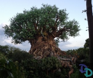 Animal Kingdom parking lot