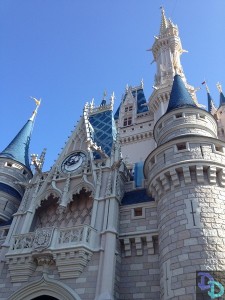 Magic Kingdom shade